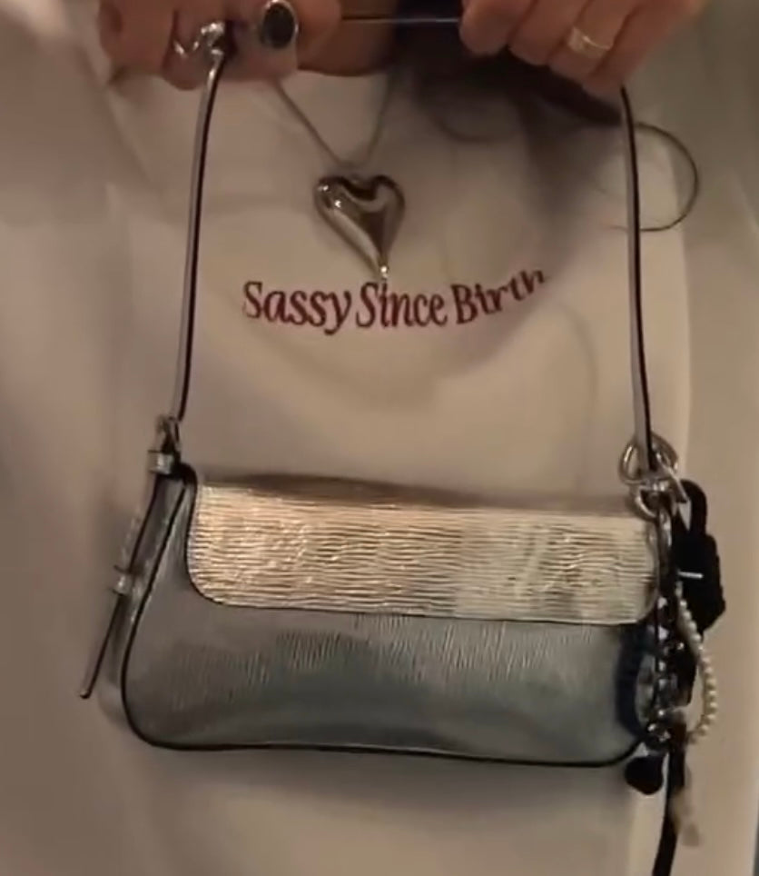 Silver Bag